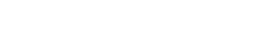 Hesaptut