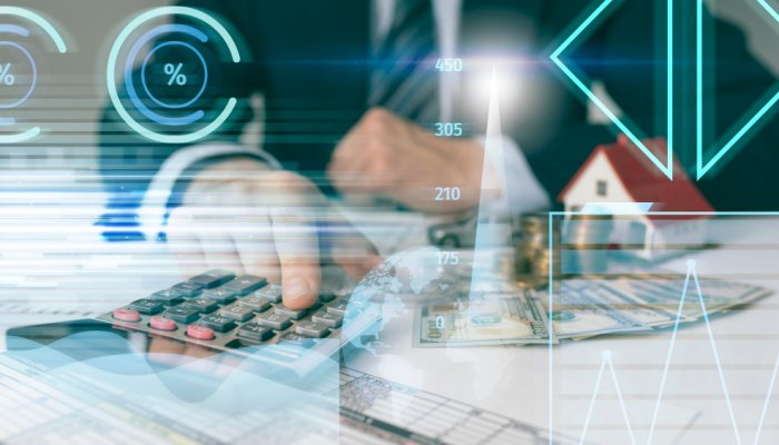 Basit Online Ön Muhasebe Programı